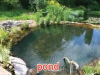 Định nghĩa & cách phát âm từ pond