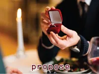 Định nghĩa & cách phát âm từ propose