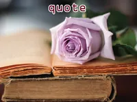 Định nghĩa & cách phát âm từ quote