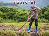 Định nghĩa & cách phát âm từ regional