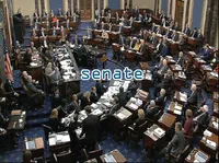 Định nghĩa & cách phát âm từ senate