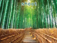 Định nghĩa & cách phát âm từ shoot
