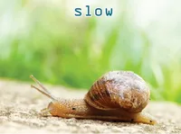 Định nghĩa & cách phát âm từ slow