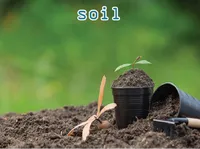 Định nghĩa & cách phát âm từ soil