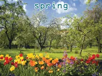 Định nghĩa & cách phát âm từ spring