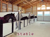 Định nghĩa & cách phát âm từ stable
