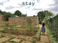 Định nghĩa & cách phát âm từ stay