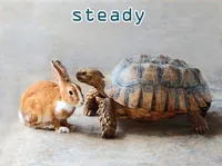 Định nghĩa & cách phát âm từ steady