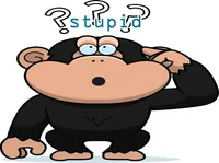 Định nghĩa & cách phát âm từ stupid