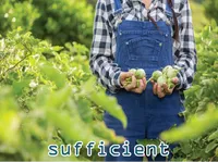 Định nghĩa & cách phát âm từ sufficient