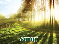 Định nghĩa & cách phát âm từ sunny