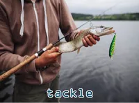 Định nghĩa & cách phát âm từ tackle