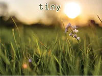 Định nghĩa & cách phát âm từ tiny