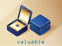 Định nghĩa & cách phát âm từ valuable