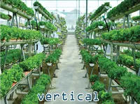 Định nghĩa & cách phát âm từ vertical