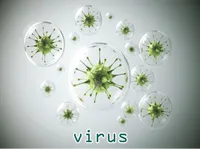 Định nghĩa & cách phát âm từ virus