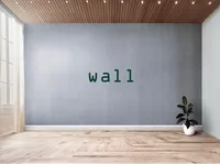 Định nghĩa & cách phát âm từ wall