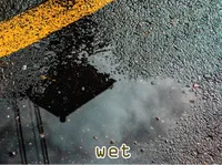 Định nghĩa & cách phát âm từ wet