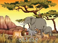 Định nghĩa & cách phát âm từ wildly