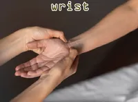 Định nghĩa & cách phát âm từ wrist