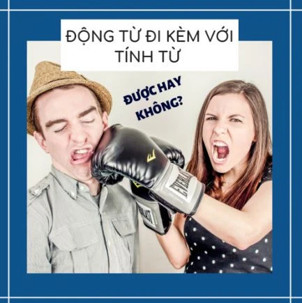 Các động từ đi kèm với tính từ