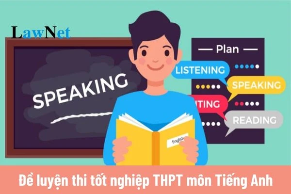 Tổng Hợp Các Kỳ Thi Tiếng Anh Phổ Biến: TOEIC, IELTS, THPTQG và Chứng Chỉ Quốc Tế