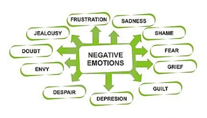 Biểu hiện và cảm xúc trong tiếng Anh (Feelings and Emotions)