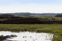 Định nghĩa & cách phát âm từ bog