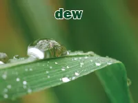 Định nghĩa & cách phát âm từ dew