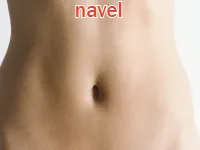 Định nghĩa & cách phát âm từ navel