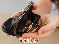 Định nghĩa & cách phát âm từ wallet