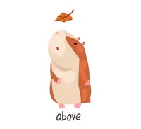 Định nghĩa & cách phát âm từ above