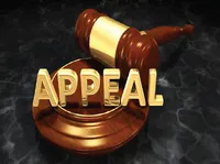 Định nghĩa & cách phát âm từ appeal