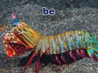 Định nghĩa & cách phát âm từ be