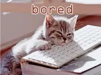 Định nghĩa & cách phát âm từ bored