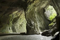 Định nghĩa & cách phát âm từ cave