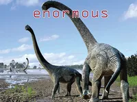 Định nghĩa & cách phát âm từ enormous