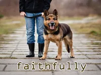 Định nghĩa & cách phát âm từ faithfully