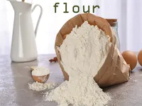 Định nghĩa & cách phát âm từ flour