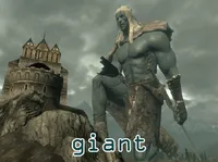 Định nghĩa & cách phát âm từ giant