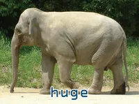 Định nghĩa & cách phát âm từ huge