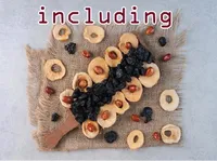 Định nghĩa & cách phát âm từ including