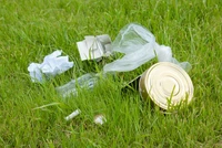 Định nghĩa & cách phát âm từ litter