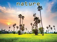 Định nghĩa & cách phát âm từ nature