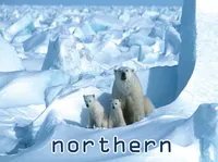 Định nghĩa & cách phát âm từ northern