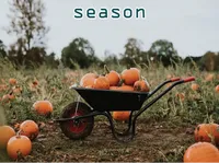 Định nghĩa & cách phát âm từ season