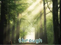 Định nghĩa & cách phát âm từ through