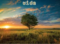 Định nghĩa & cách phát âm từ wide