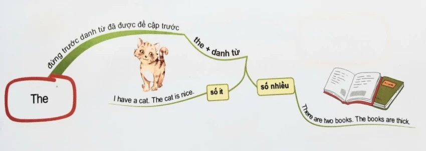 Mạo từ a, an, the trong tiếng anh