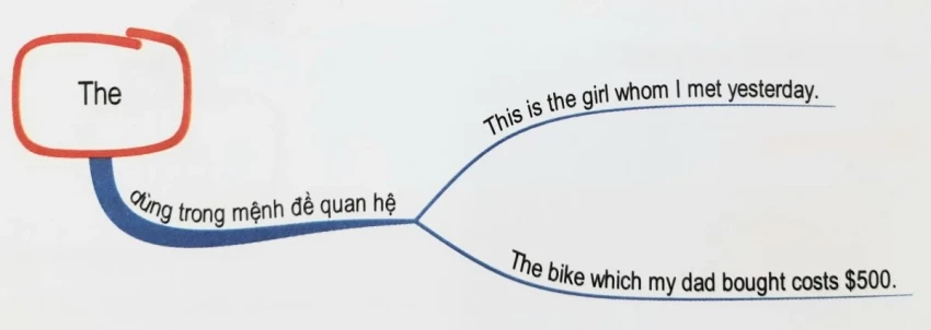 Mạo từ a, an, the trong tiếng anh